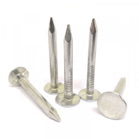 Galvanized Steel Smooth Shank Flat Head Clout Nails